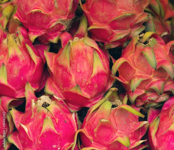 Fototapeta Closeup of fresh dragon fruit in the market in Kuala Lumpur, Malaysia