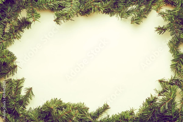 Fototapeta Spruce branches on white background