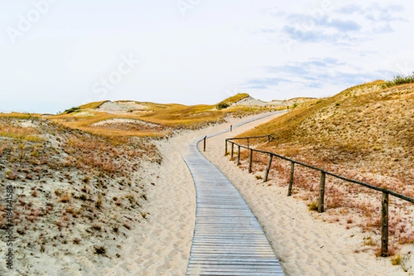 Fototapeta Pathway to gray dunes in Curonian Spit, Lithuania