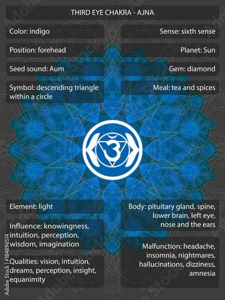 Fototapeta Chakras symbols with meanings infographic