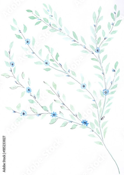 Fototapeta Branch with small leaves - watercolor. Decorative compositionon the background of watercolor. Floral motifs. Use printed materials, signs, items, websites, maps, posters, postcards, packaging.