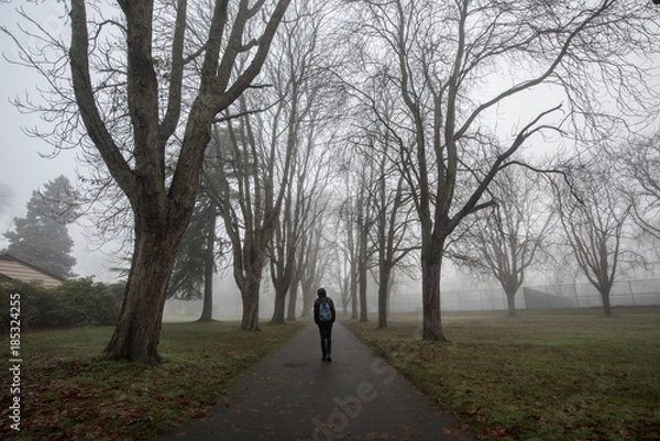 Obraz Walking in the park in a cold morning