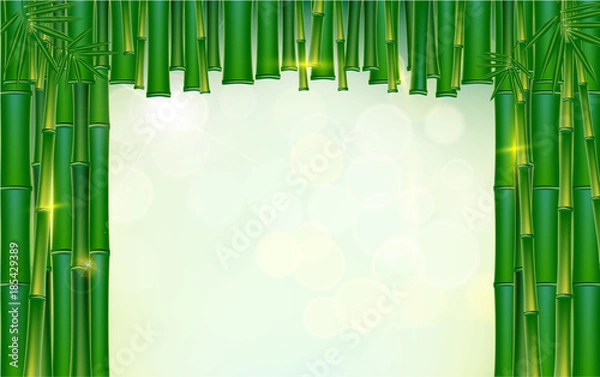 Fototapeta Green bamboo fram background