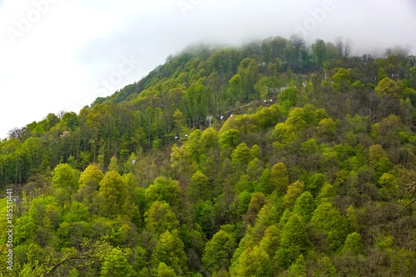 Obraz Cable car way from Rosa Khutor to mountain peak, colorful green gondolas of a ropeway travel above a dense forest. High-altitude landscape from Sochi, Russia.