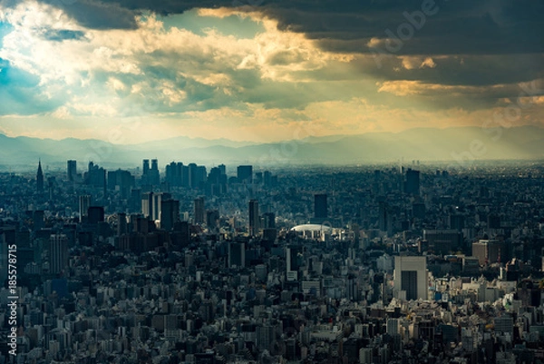 Fototapeta 光芒に照らされる東京の都心の風景