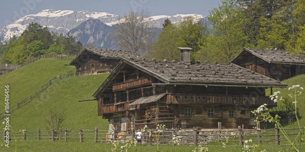 Fototapeta Daheim in Tirol