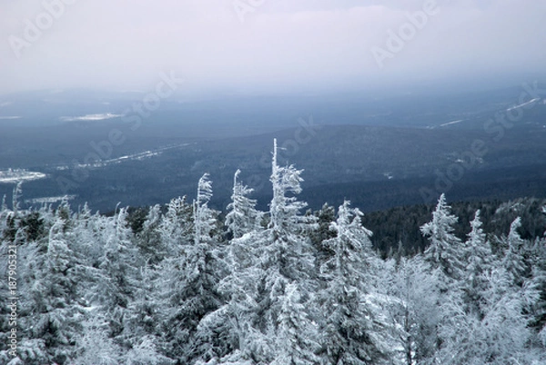 Fototapeta A view of the frosty winter forested hills from the top of the mountain from the lower cloud boundary