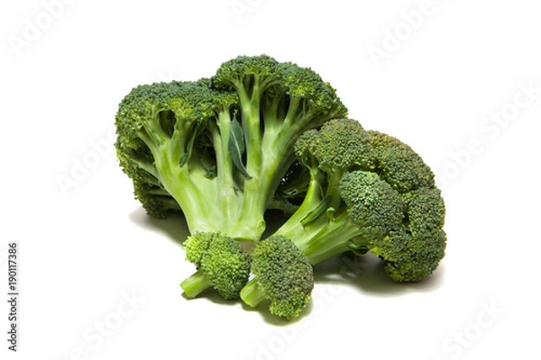 Fototapeta Broccoli cabbage on a white background