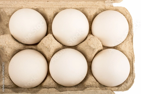 Fototapeta six eggs in a tray for ten eggs isolate