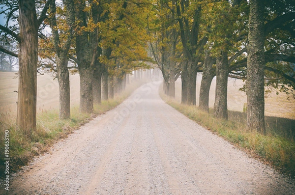 Fototapeta Perspective country winding dusty dirt road at Summer day with green trees at side. Vintage grainy film effect.