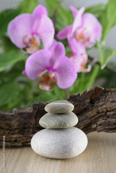 Fototapeta Spa Still Life, Stones, Candle and wood on green background