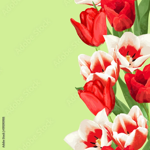 Fototapeta Seamless border with red and white tulips. Beautiful realistic flowers, buds and leaves