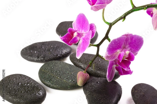 Fototapeta zen stone and orchid. spa concept