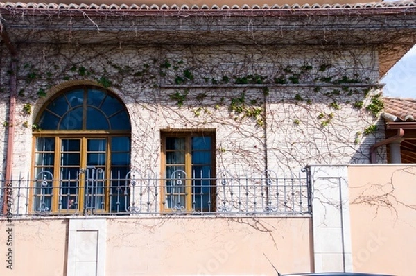 Fototapeta House fills of climbing plants