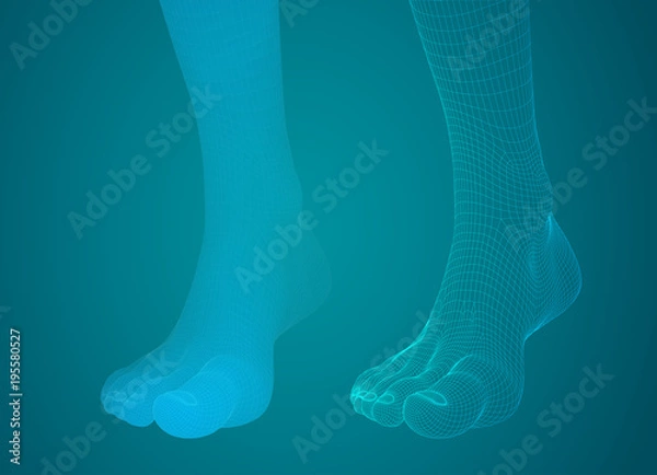 Fototapeta 3d illustration of a vector of human feet walking along