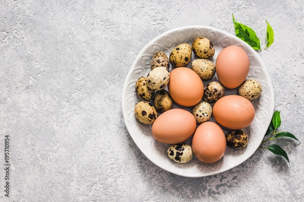 Fototapeta Plate with fresh Easter quail and chicken eggs on concrete background. Top view, space for text.