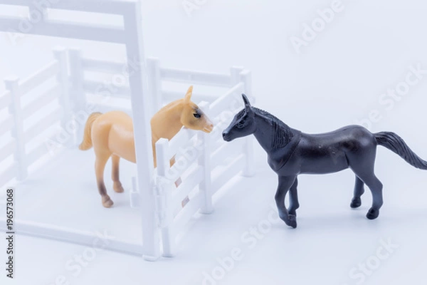 Fototapeta Two toy horses black and brown in a white pen with white background