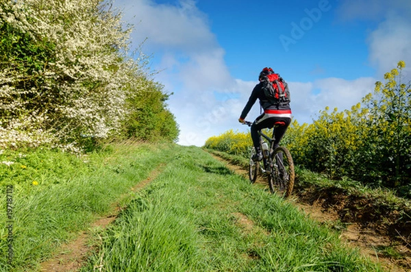 Fototapeta magnifique décors pour faire du vtt