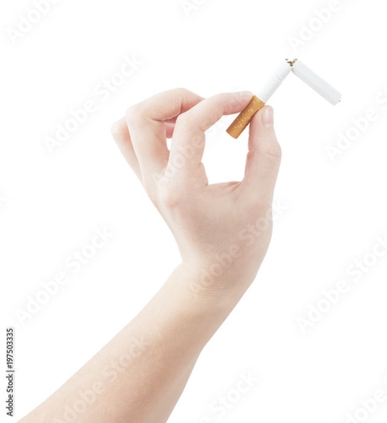 Fototapeta hand holding broken cigarette. concept for quit smoking