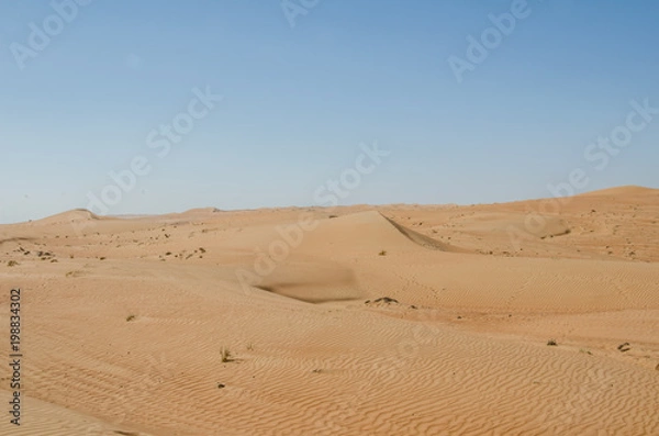 Fototapeta Sand dunes with wind pattern in Wahiba sands desert