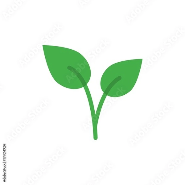 Fototapeta plant leaves flat vector icon. Modern simple isolated sign. Pixel perfect vector  illustration for logo, website, mobile app and other designs