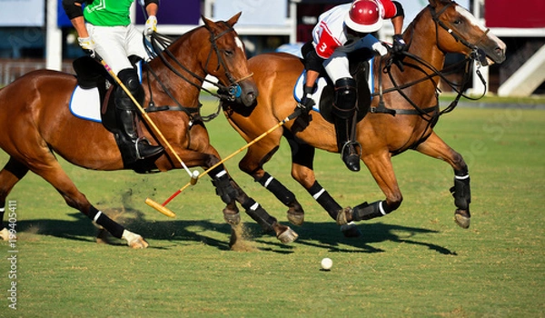 Fototapeta Polo horse players battle in game.