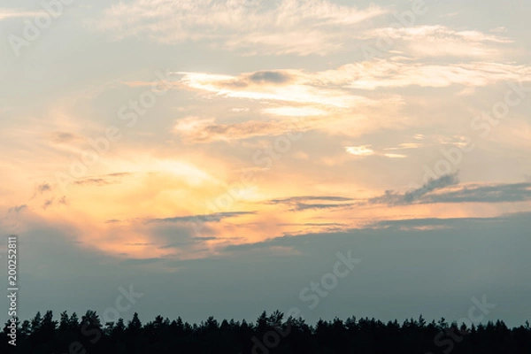 Fototapeta sky at sunset on the forest