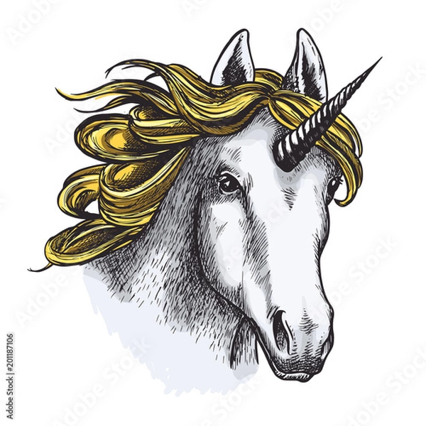 Fototapeta Unicorn isolated sketch with head of magic animal