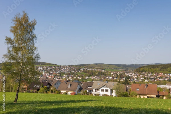 Fototapeta Herscheid im Frühling