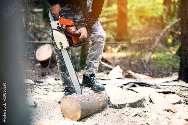 Fototapeta Cropped shot of lumberjack with chainsaw