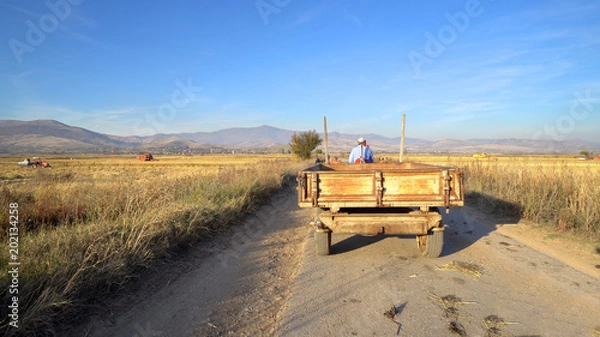 Fototapeta Tractor drive on the rural road with trailer