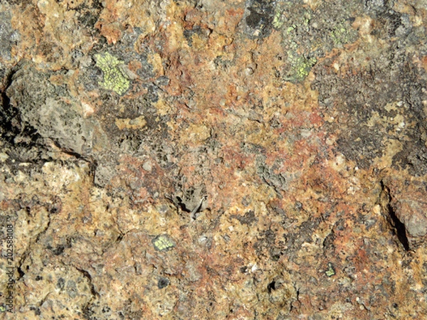 Fototapeta Old color stone texture. Lichen on weathered rock surface