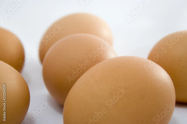 Fototapeta Eggs isolated on the white background