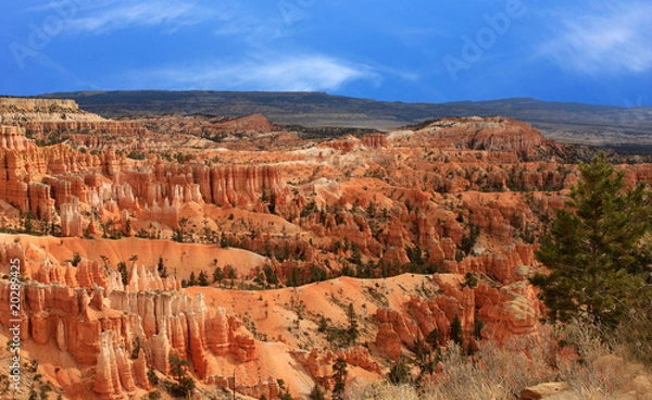 Fototapeta falaise de bryce canyon