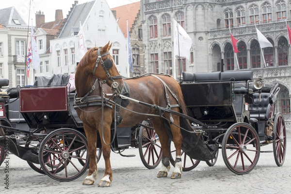 Obraz Tradycyjny koń i wóz, Brugge Belgia