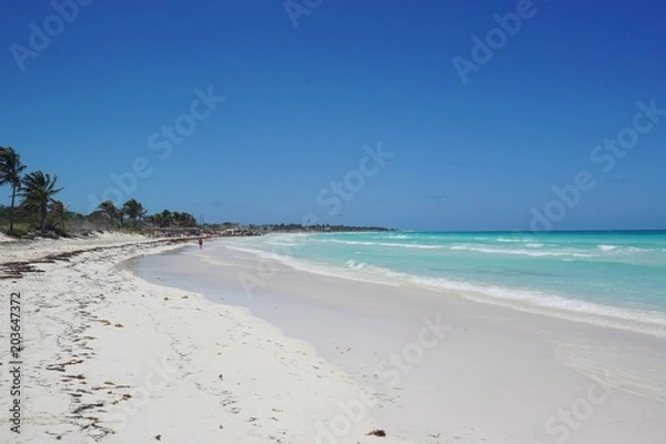 Fototapeta Strand in der Karibik, Cayo Coco, Kuba