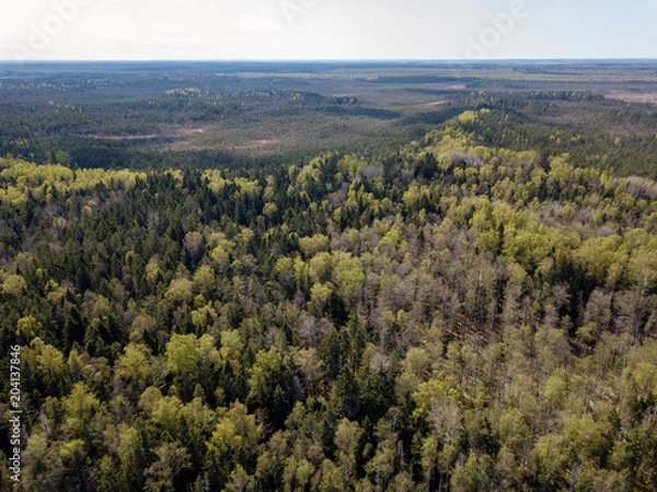 Obraz drone image. aerial view of rural area with fields and forests