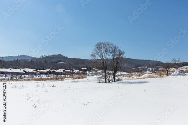 Fototapeta landscape of grassland  in winter