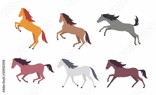 Fototapeta Set of colorful horses. flat style. isolated on white background