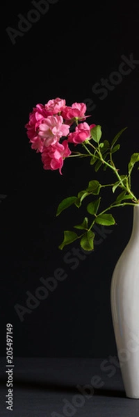 Fototapeta Little pink roses in white vase, black background