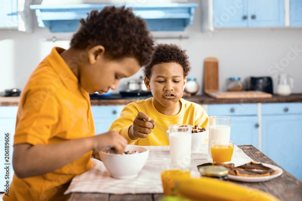 Fototapeta Usual morning. Charming curly-haired boys sitting at the table and having a conversation while eating cereals in the morning