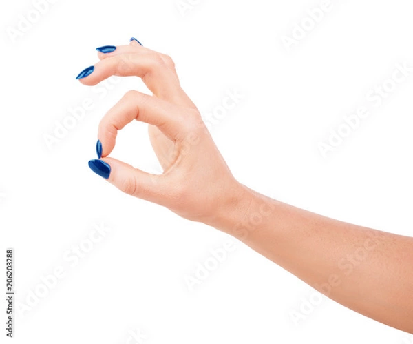 Fototapeta Woman's hands with neat manicure. Isolated on white background.