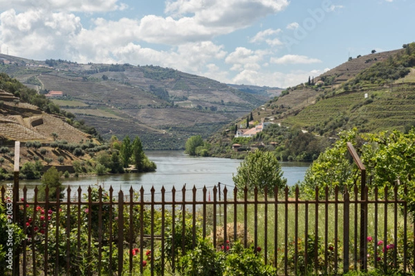 Fototapeta view of the Douro River with its vineyards and estates