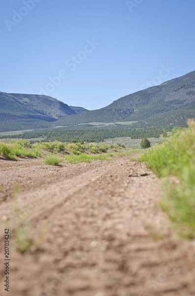 Fototapeta Down on the dirty ground of the dirt road in the open range. 