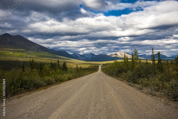 Fototapeta Road of Alaska. Denali Highway in beautiful weather