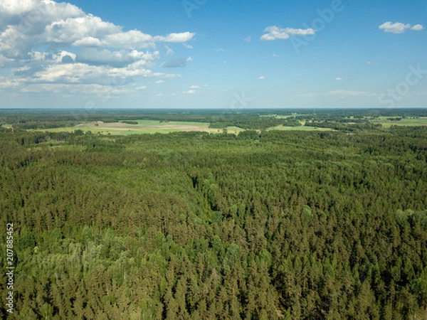 Fototapeta drone image. aerial view of rural area with fields and forests