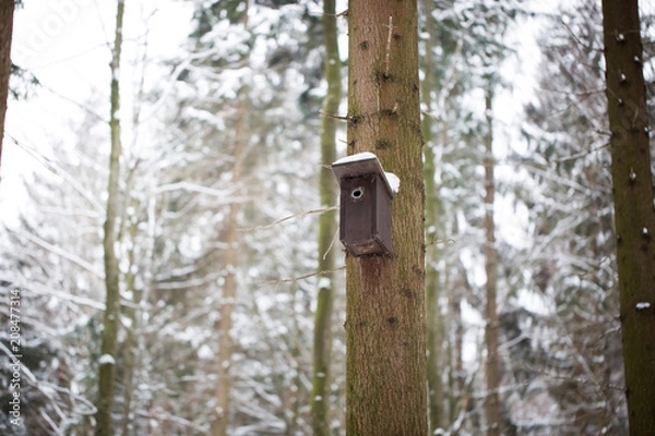 Fototapeta Wood birdhouse on the tree during winter time