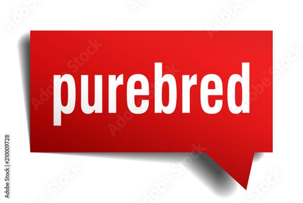 Fototapeta purebred red 3d speech bubble