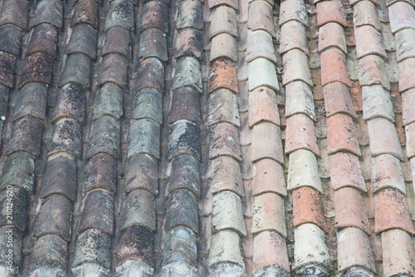 Obraz a roof of tiles half clean and dirty after an anti foam cleaning