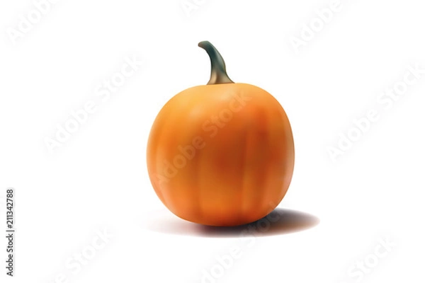 Fototapeta Pumpkin looks outstanding. From white background